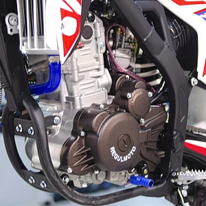 Мотоцикл Regulmoto CR-Z 300 (Красный, , 300001-1)
